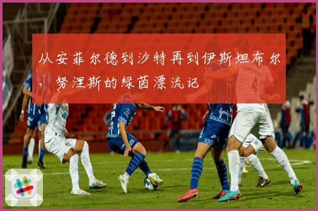 从安菲尔德到沙特再到伊斯坦布尔，努涅斯的绿茵漂流记