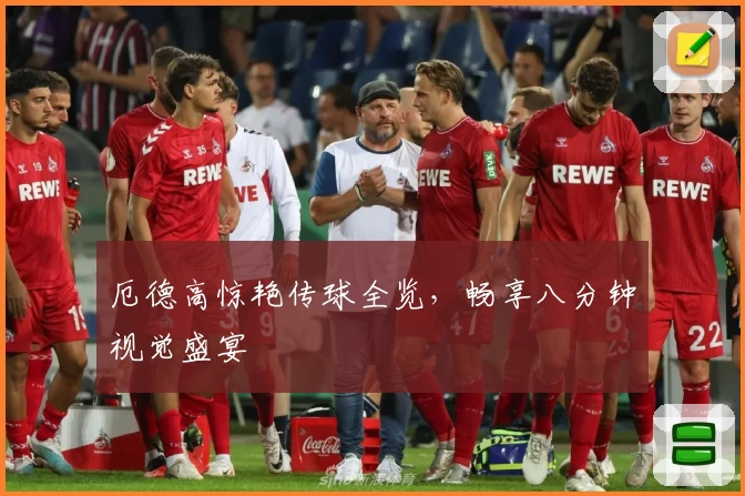 厄德高惊艳传球全览，畅享八分钟视觉盛宴