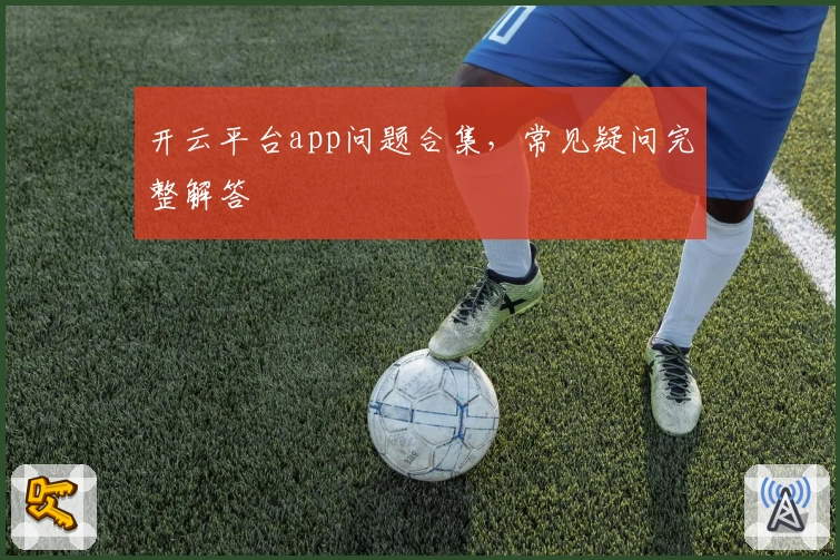 开云平台app问题合集，常见疑问完整解答