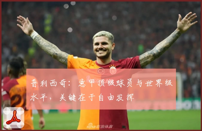 普利西奇：意甲顶级球员与世界级水平，关键在于自由发挥