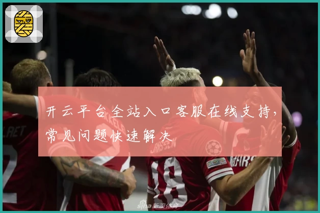 开云平台全站入口客服在线支持，常见问题快速解决