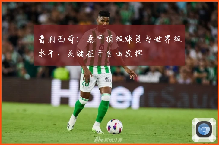 普利西奇：意甲顶级球员与世界级水平，关键在于自由发挥