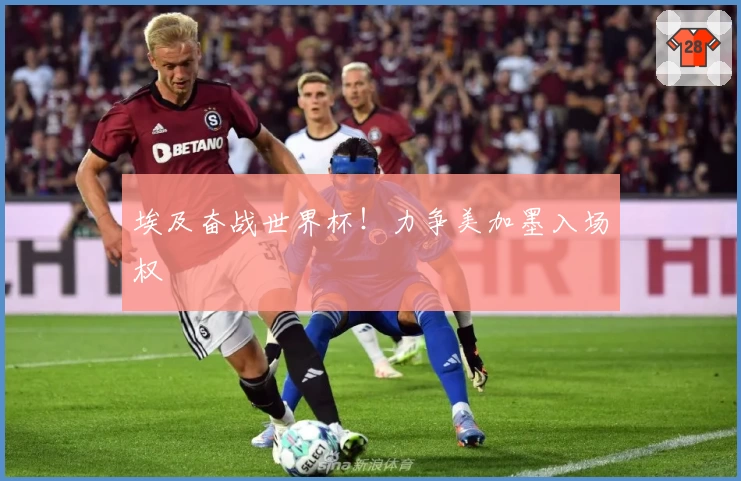 埃及奋战世界杯!力争美加墨入场权
