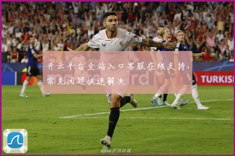 开云平台全站入口客服在线支持，常见问题快速解决