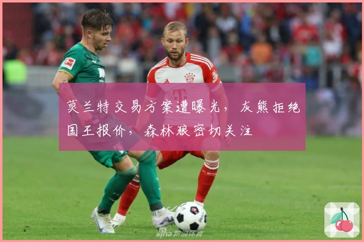 莫兰特交易方案遭曝光，灰熊拒绝国王报价，森林狼密切关注